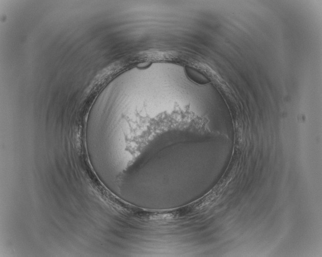 X0000072970357200608111722