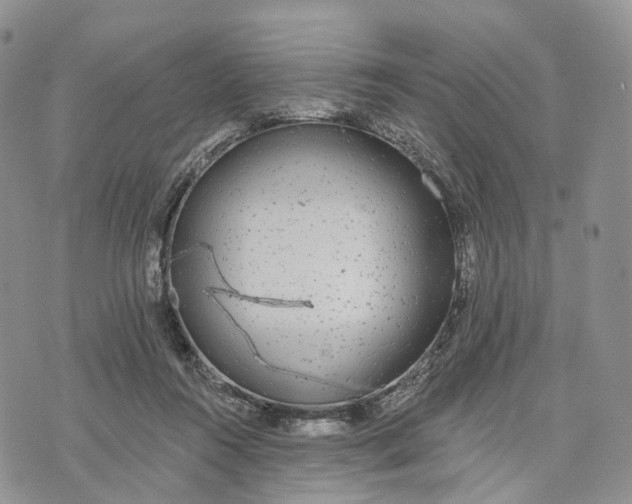 X0000072970360200608111722