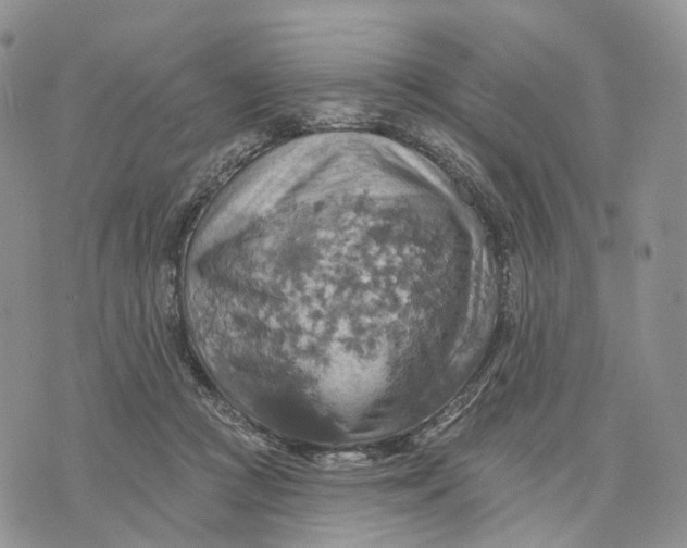 X0000072970361200608111722