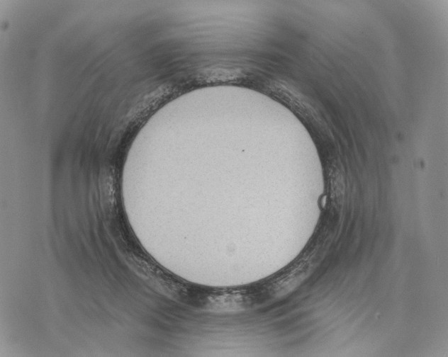 X0000072970362200608111722