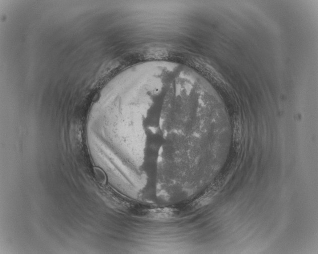 X0000072970363200608111722