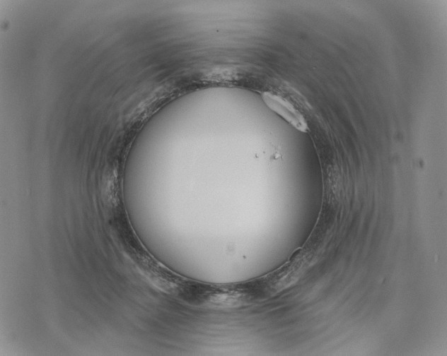 X0000072970364200608111722