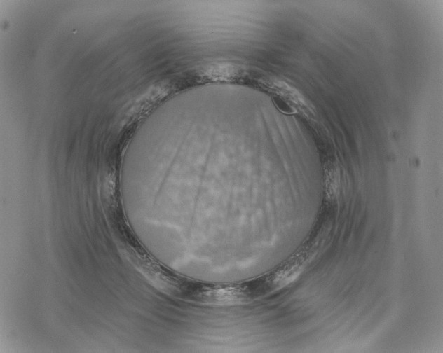 X0000072970365200608111722