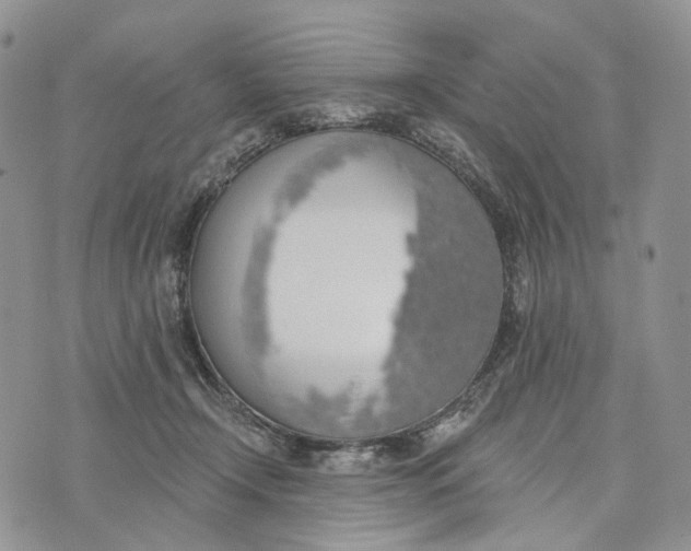 X0000072970366200608111722