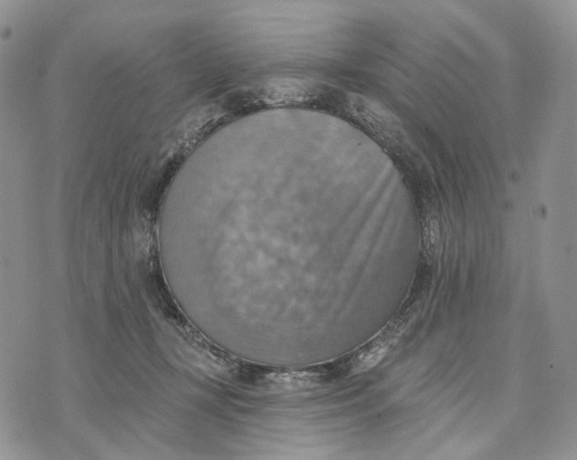 X0000072970367200608111722