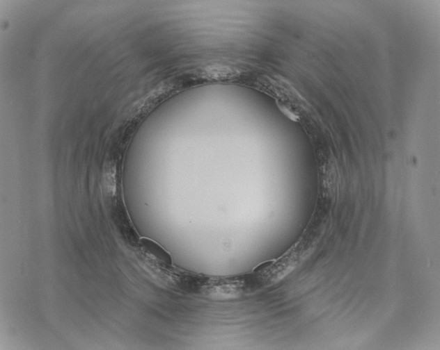 X0000072970368200608111722