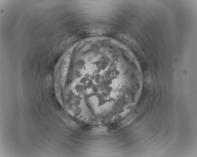 X0000072970369200608111722