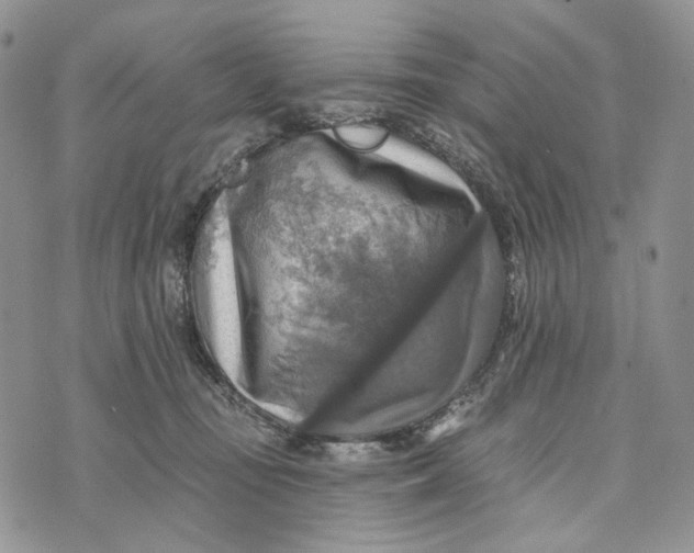 X0000072970371200608111722