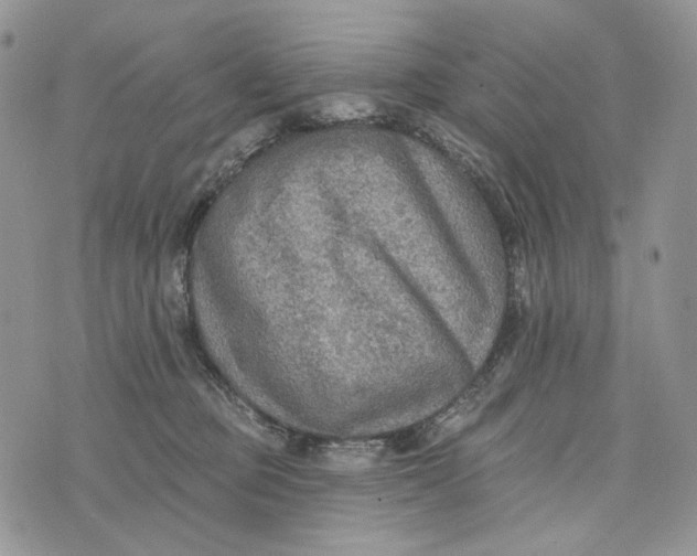 X0000072970373200608111722