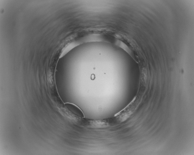 X0000072970380200608111722