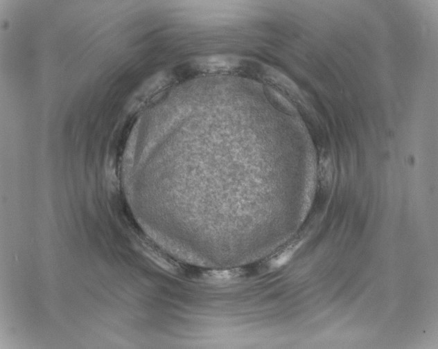 X0000072970381200608111722