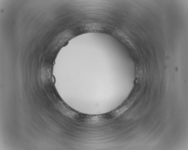 X0000072970382200608111722