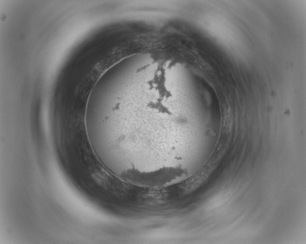 X0000072970383200608111722