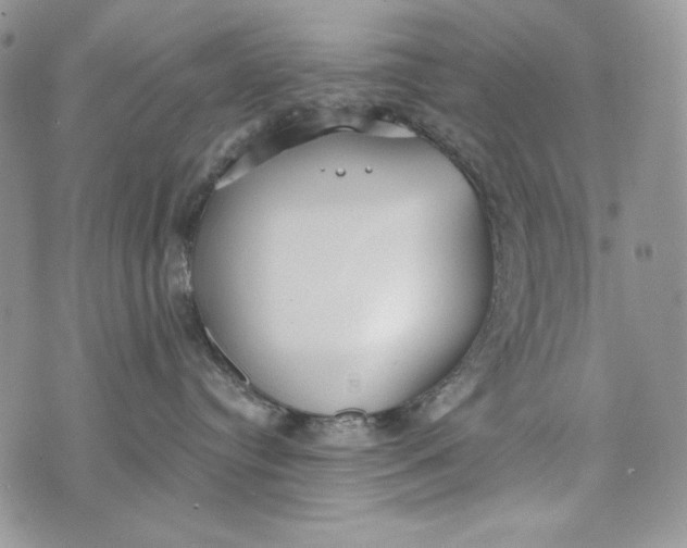 X0000072970384200608111722