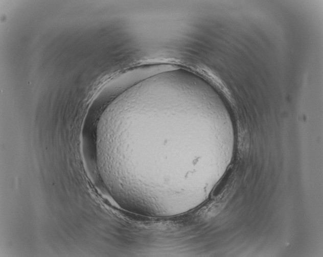 X0000072970385200608111721