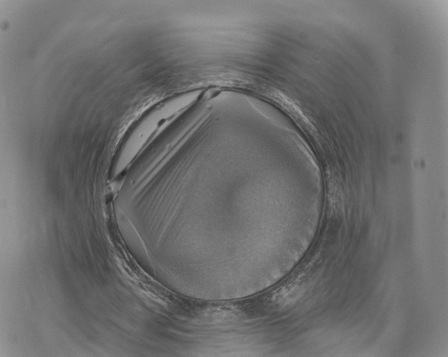 X0000072970386200608111721