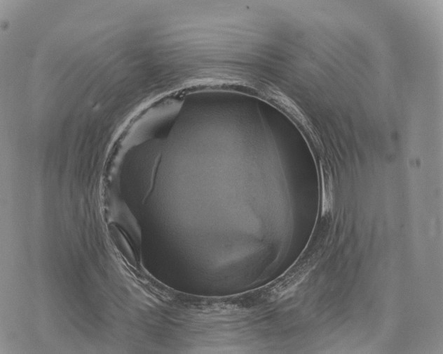 X0000072970387200608111721