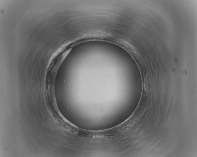 X0000072970388200608111721