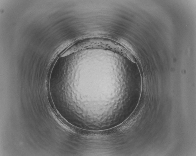 X0000072970389200608111721