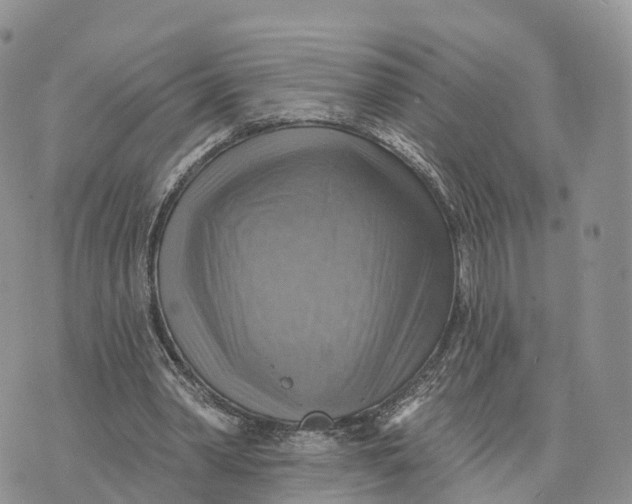 X0000072970390200608111721