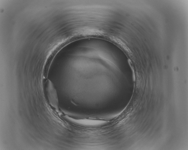 X0000072970391200608111721