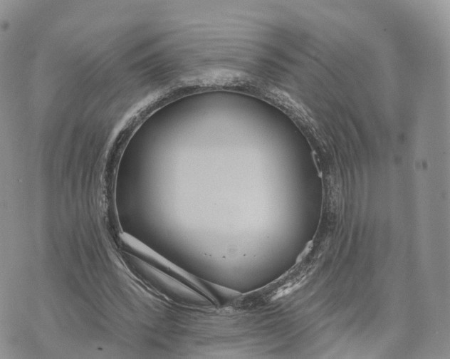 X0000072970392200608111721