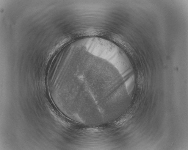 X0000072970394200608111721