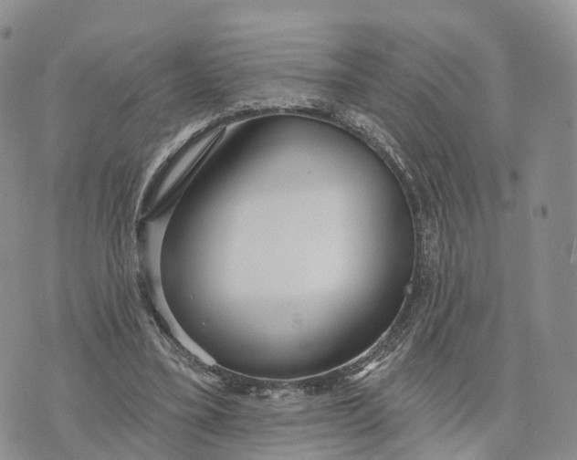 X0000072970395200608111721