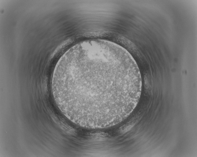 X0000072970396200608111721