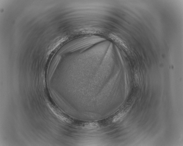 X0000072970398200608111721