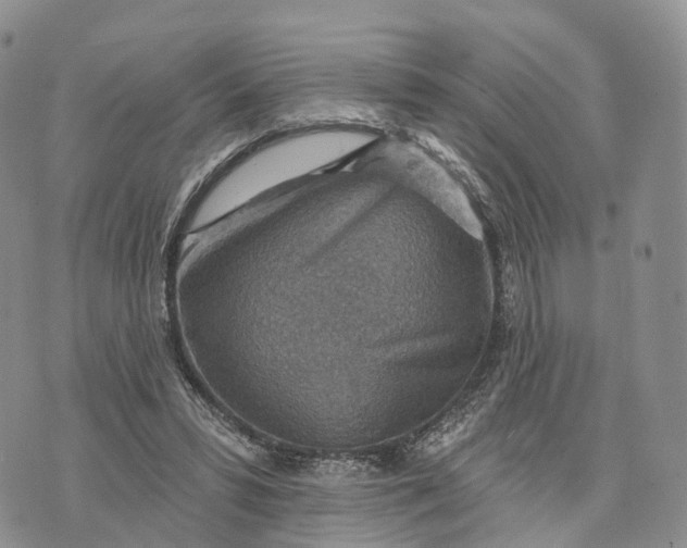 X0000072970399200608111721