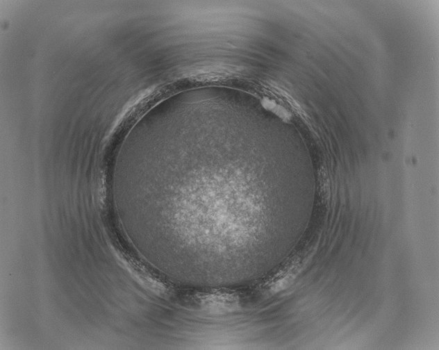 X0000072970400200608111721