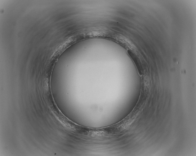 X0000072970401200608111721