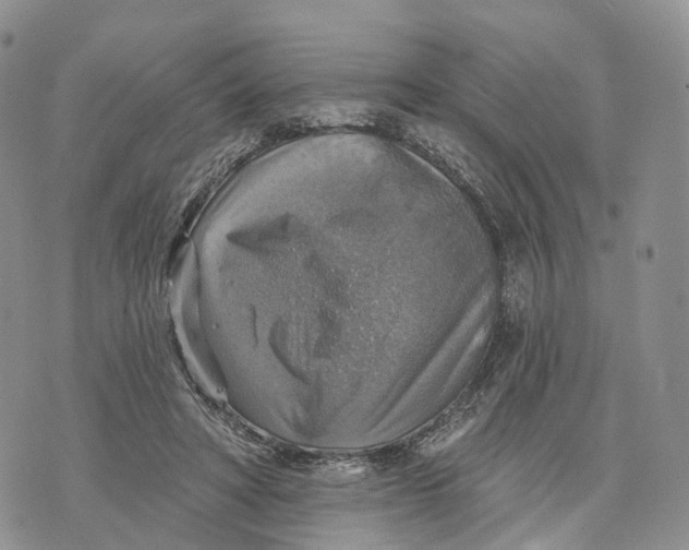 X0000072970402200608111721