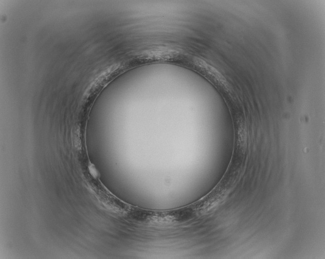 X0000072970403200608111721