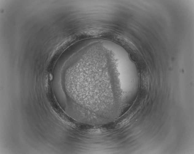 X0000072970404200608111721