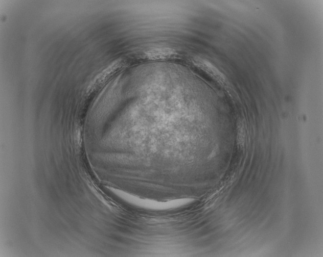 X0000072970405200608111721