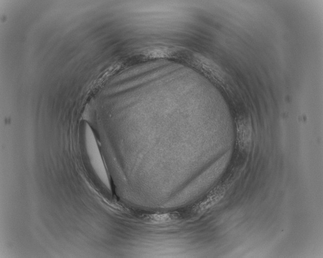 X0000072970406200608111721