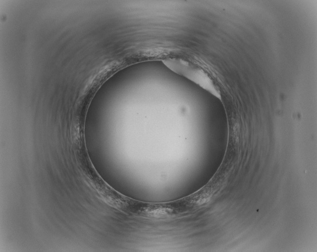 X0000072970407200608111721