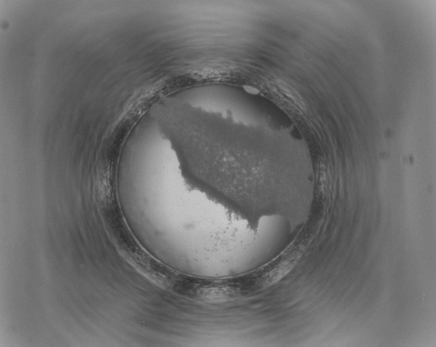 X0000072970408200608111721