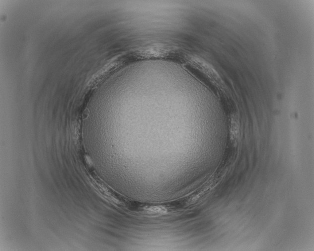 X0000072970409200608111721