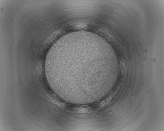 X0000072970412200608111721