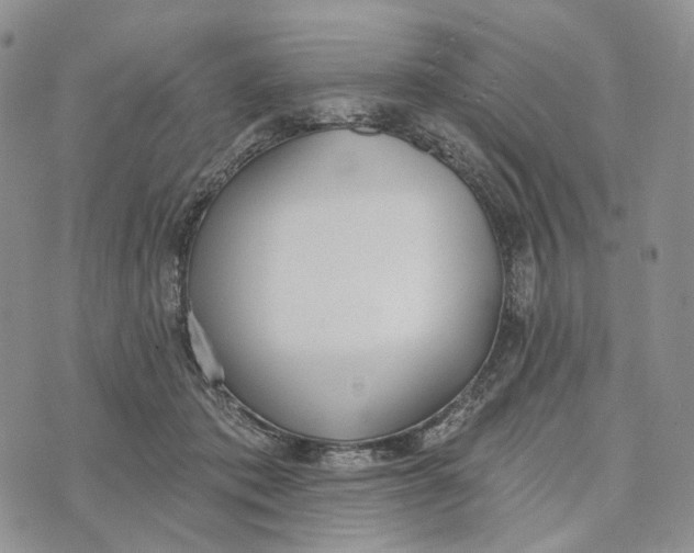 X0000072970413200608111721