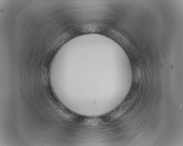 X0000072970414200608111721