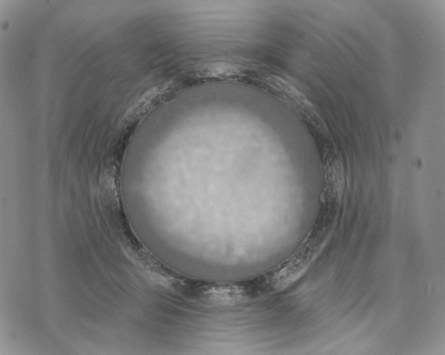 X0000072970415200608111721