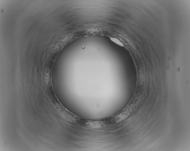 X0000072970417200608111721