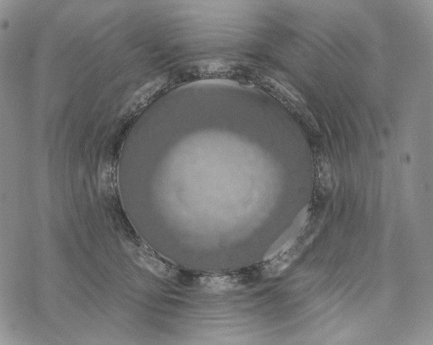 X0000072970419200608111721