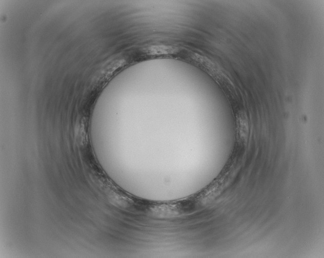 X0000072970422200608111721