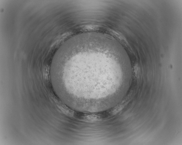 X0000072970423200608111721