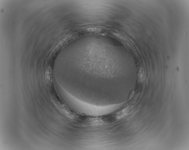 X0000072970424200608111721